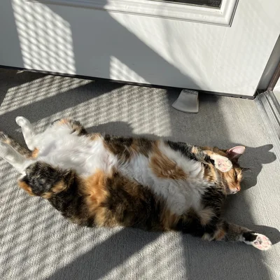 Sophie